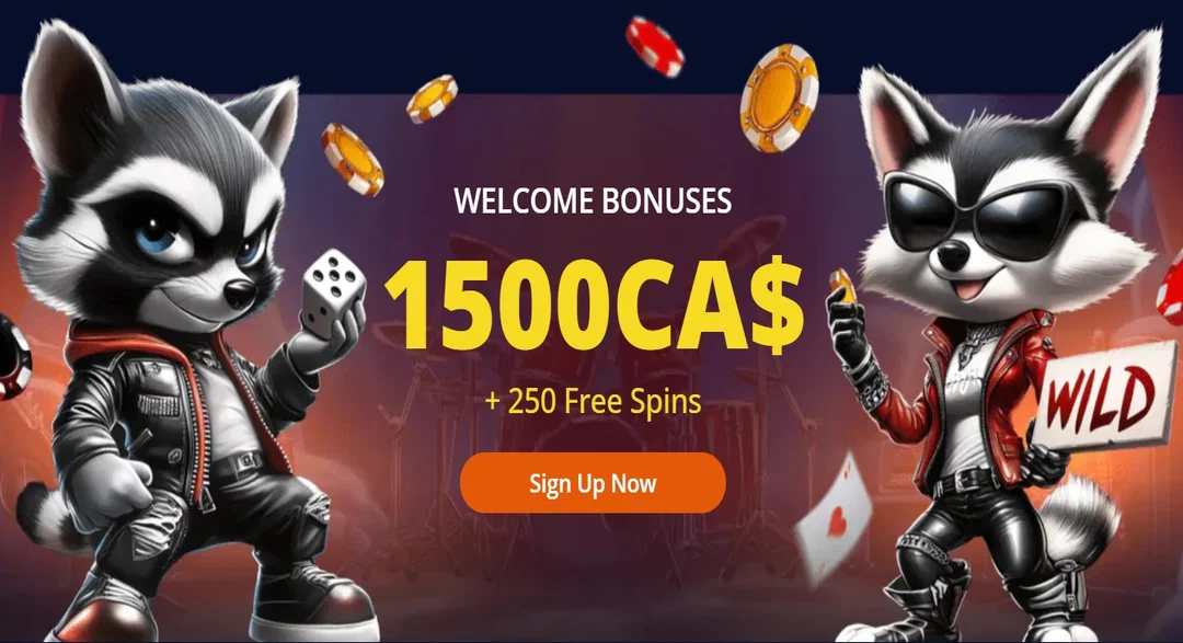 rockyspin-bonus